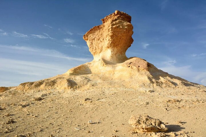 Explore North and West Qatar – Full-Day Adventure photo 3